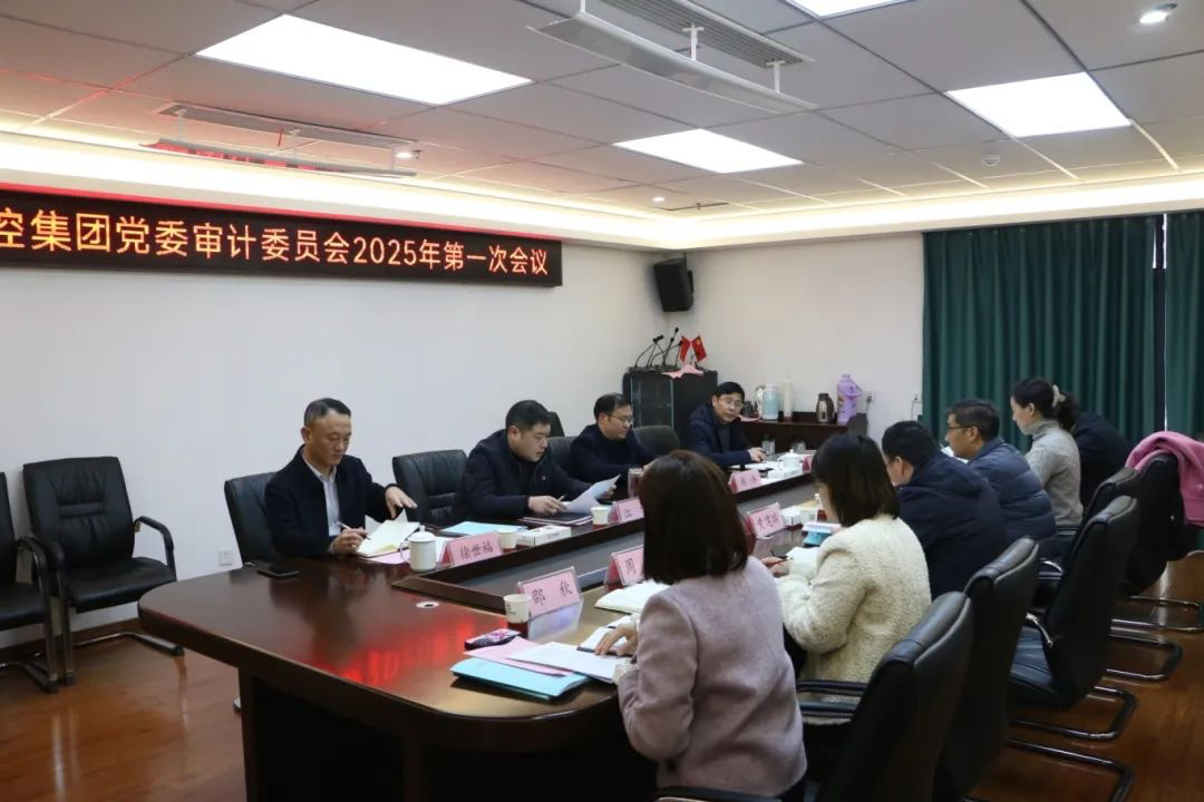 市必一(B-sports)集团召开党委审计委员会2025年第一次会议