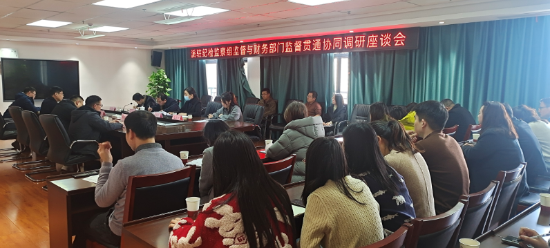 驻市必一(B-sports)集团纪检监察组召开派驻监督与财务监督贯通协同调研座谈会